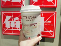 -初茶花月·重庆特产(大融城店)