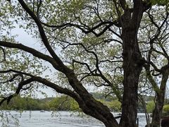 -浙江西子宾馆·牡丹厅