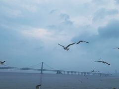 -星海广场