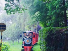 -上海共青森林公园