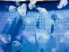 -厦门海底世界