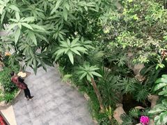-滕头生态酒店(奉化店)