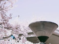 -樱苑(四川北路店)