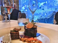 -迪拜帆船酒店海底餐厅