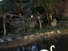 -清迈夜间动物园