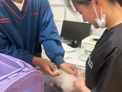 -可蒙动物医院·猫科·骨科中心(首义路店)