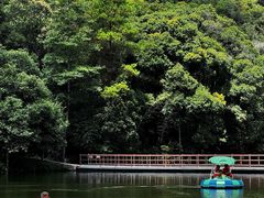 -龙湾潭国家森林公园