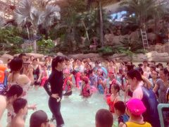 -杭州开元森泊度假乐园