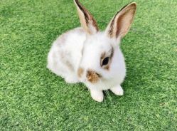 -萌宠亲子动物乐园(槐房万达店)