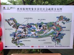 -野象谷景区