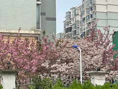 -仲盛世界商城