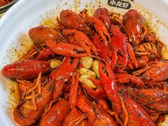 -龙巢盱眙龙虾·牛蛙·烧烤宵夜(八卦岭店)