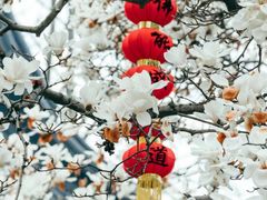 -杭州上天竺法喜讲寺
