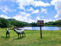 -海南热带雨林国家公园吊罗山景区