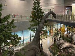 -湖南省地质博物馆