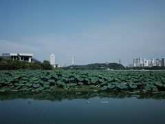 -月湖风景区