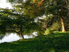 -西湖外事游船(花港观鱼码头)