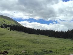 -新疆那拉提国家旅游度假区