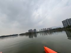 -飞来湖湿地公园