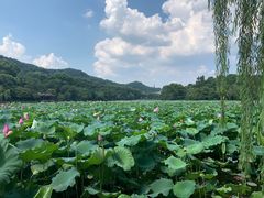 -杭州西湖风景名胜区-钱塘苏小小之墓