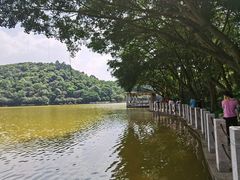 -西樵山风景名胜区-天湖公园