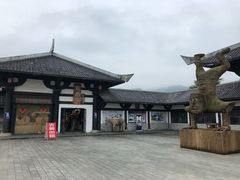 -紫鹊界梯田景区