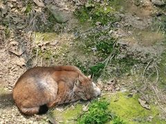 -宁波野生动物园