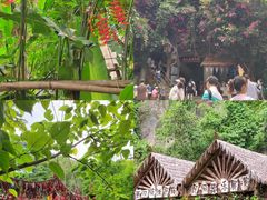 -西双版纳原始森林公园