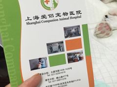 -爱侣宠医·鹦鹉专科·小型哺乳类·异宠专科(灵石路店)