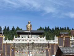 -中原大佛景区