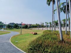 -宝安西湾红树林湿地公园