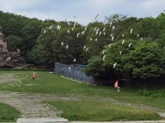 -哈尔滨北方森林动物园