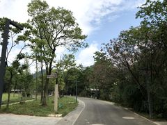-花溪公园