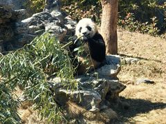 -杭州野生动物世界