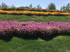 -南通洲际绿博园