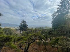 -常寂光寺