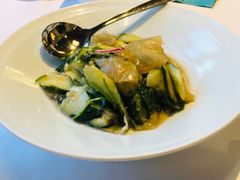 -圆苑(金茂店)