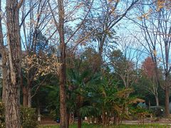 -浙江农林大学(东湖校区)