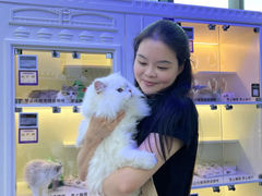 -小猫来了·猫舍(红山六九七九店)