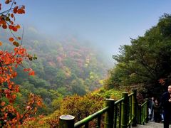 -少华山国家森林公园