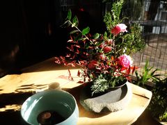 店内环境-瓷语堂(上海五维空间创意园店)