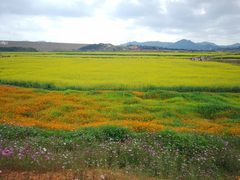 -光明小镇欢乐田园