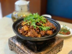 红焖东山羊-墨脱石锅椰子鸡•香草鸭•东山羊(大东海店)