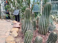 -郑州植物园