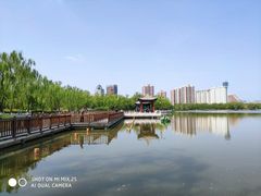 -莲花池公园