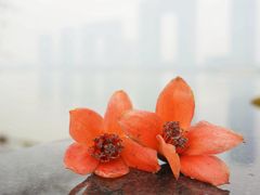 -喜洲吧·江畔老船厂·庭院餐厅(喜临院店)
