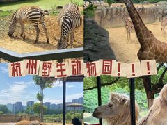 -杭州野生动物世界