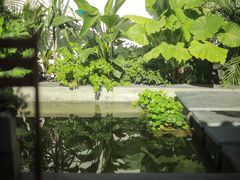 -漫笙舍Manse·咖啡·民宿