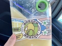-野萃山·潮汕厚果汁(十亩地店)