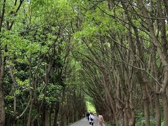 -同里国家湿地公园